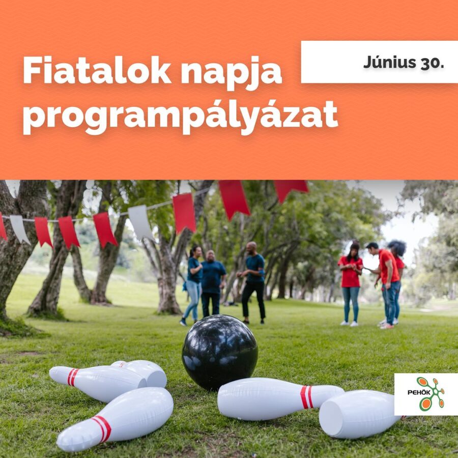 FIATALOK NAPJA PROGRAMPÁLYÁZAT