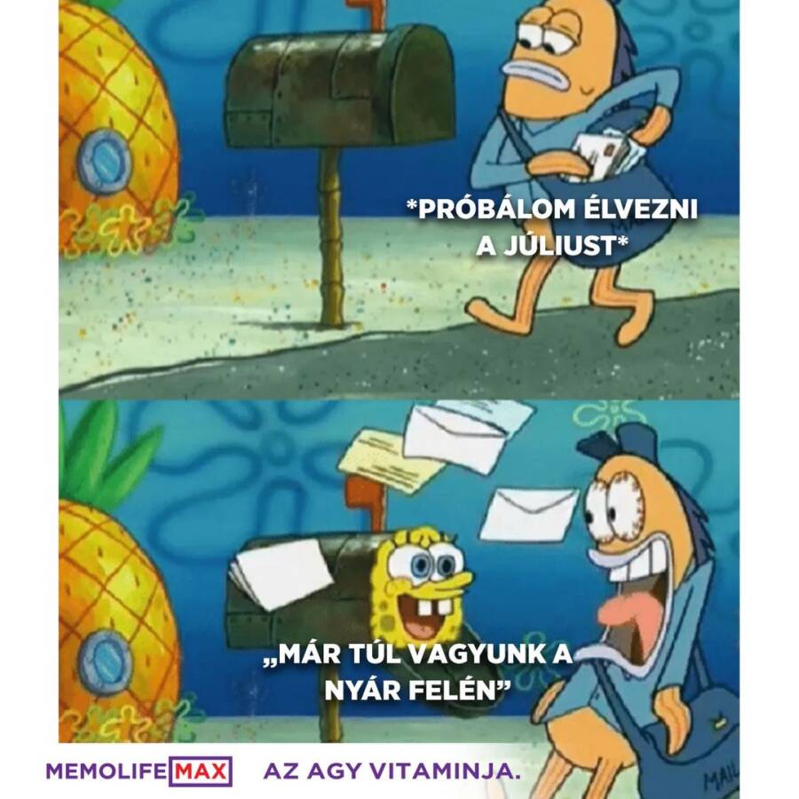 ÉLVEZNI A NYARAT