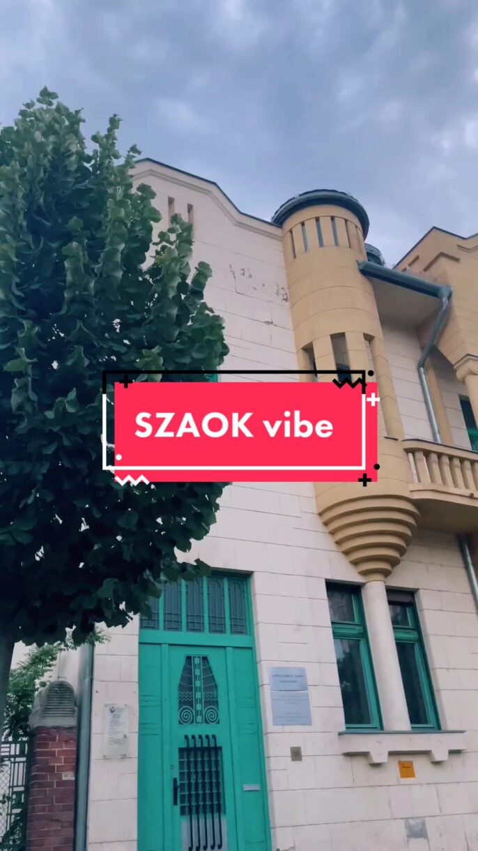 SZAOK VIBE