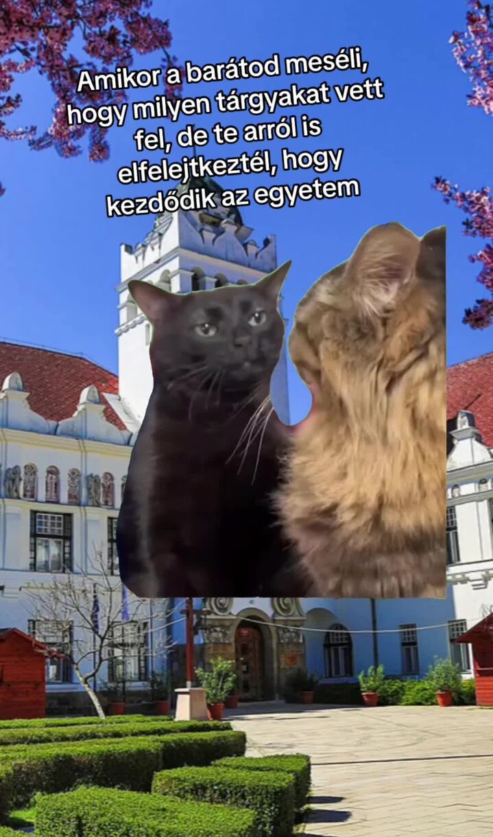 KEZDŐDIK A FÉLÉV