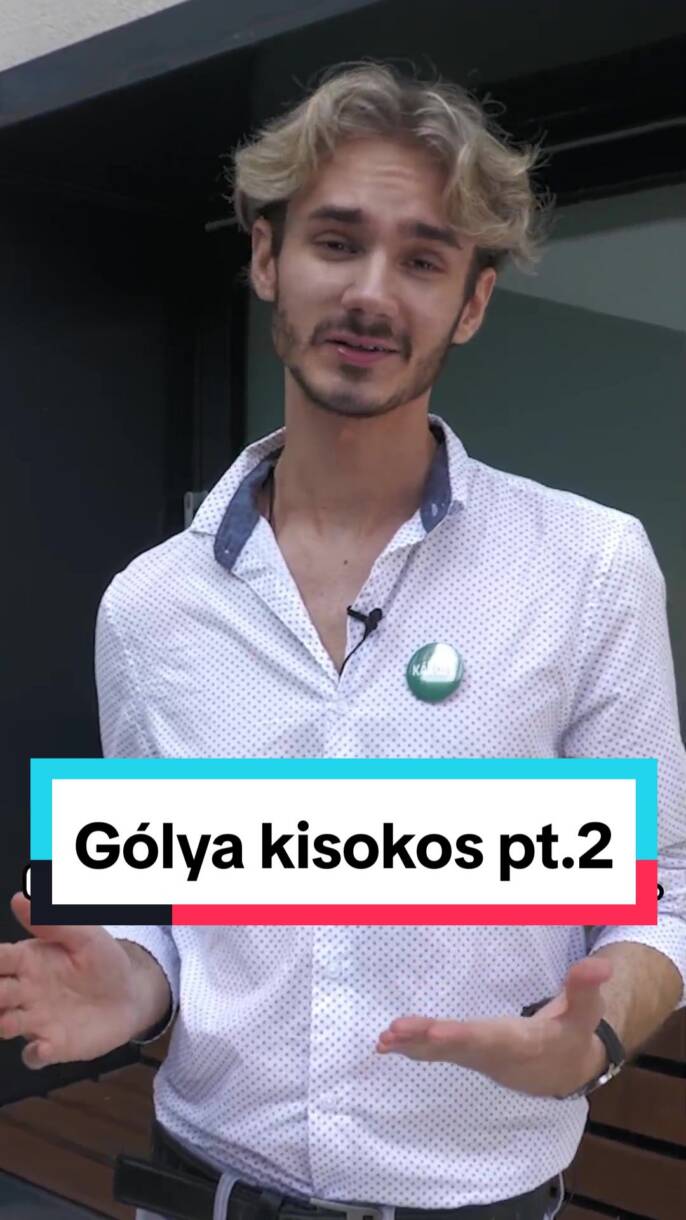 GÓLYA KISOKOS 2.