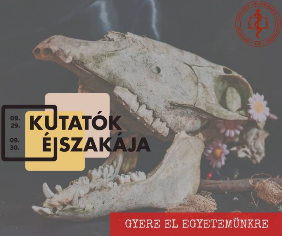 KUTATÓK ÉJSZAKÁJA AZ ATE-N