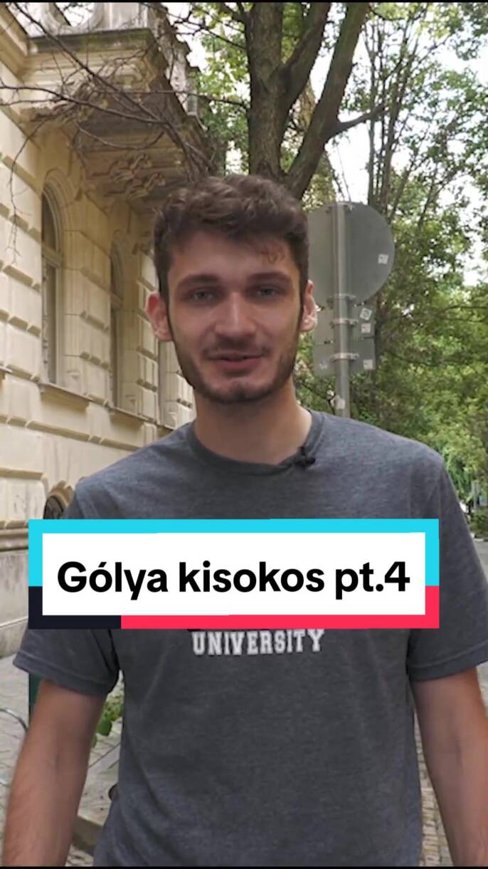 GÓLYA KISOKOS 4.