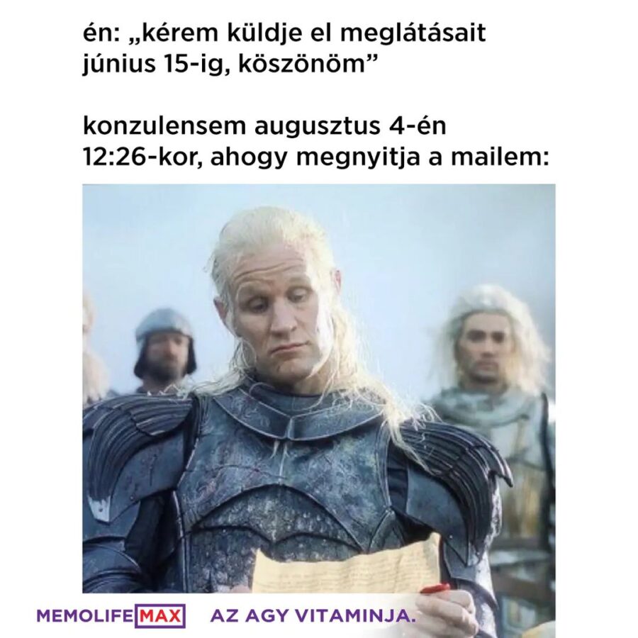 A KONZULENS…