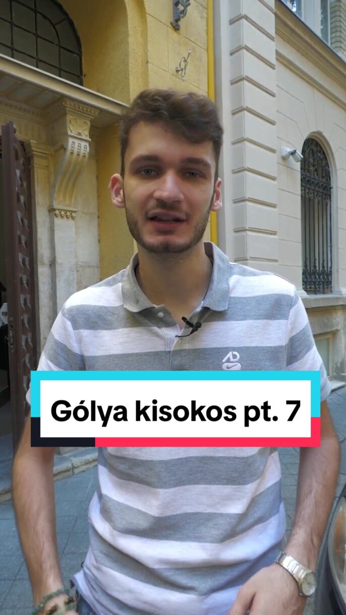 GÓLYA KISOKOS 7.