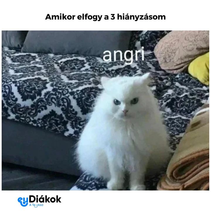 AMIKOR ELFOGY A 3 HIÁNYZÁS