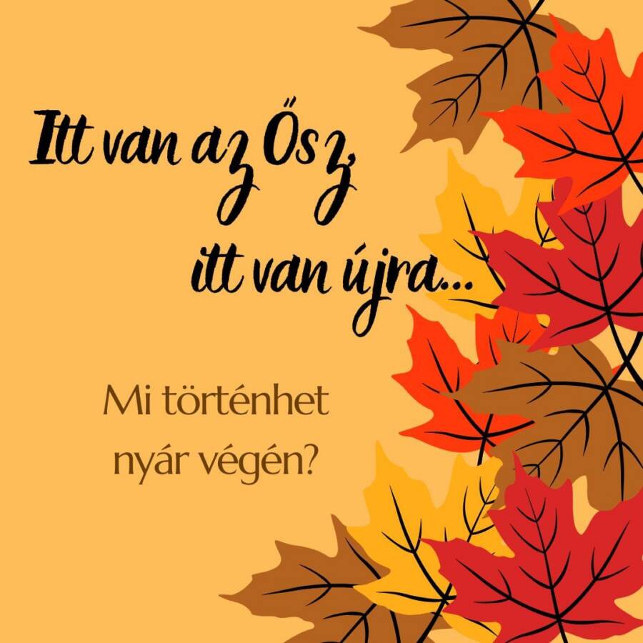 MI TÖRTÉNHET A NYÁR VÉGÉN?