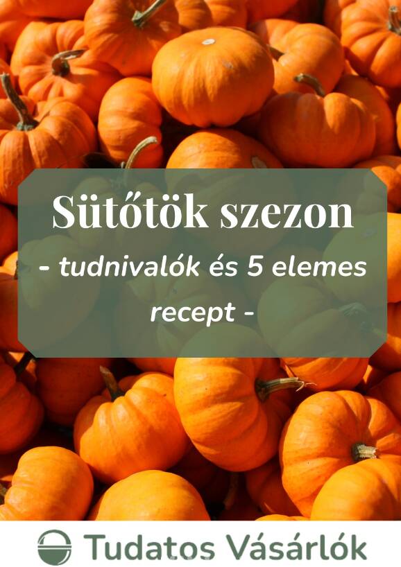 SÜTŐTÖK SZEZON