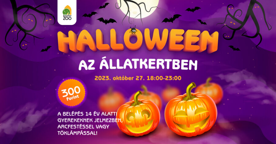 HALLOWEEN AZ ÁLLATKERTBEN!