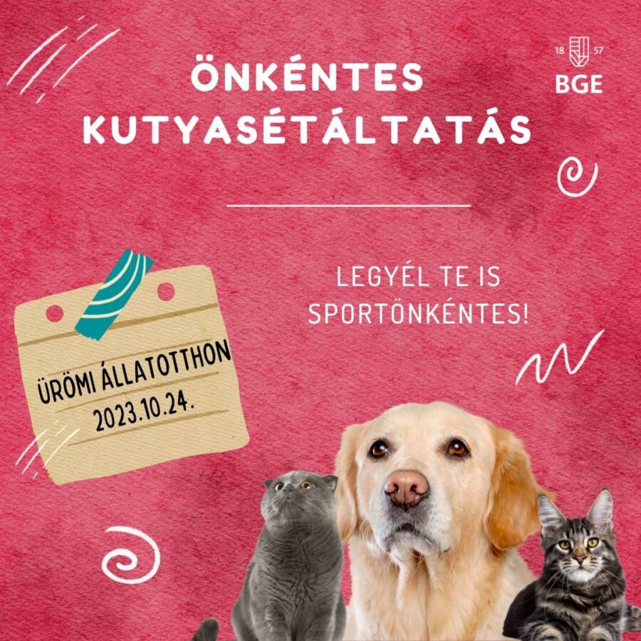 ÖNKÉNTES KUTYASÉTÁLTATÁS