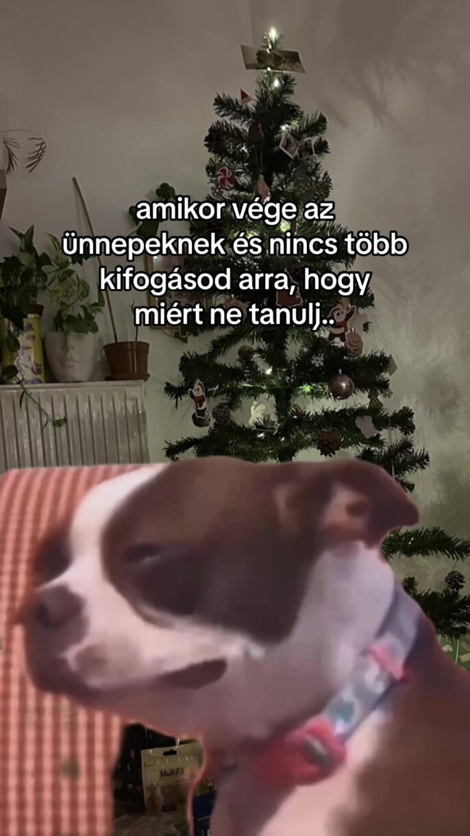 AMIKOR VÉGE AZ ÜNNEPEKNEK