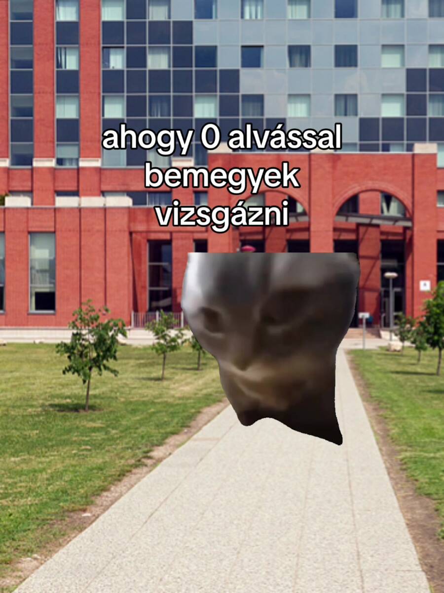 VIZSGÁZNI