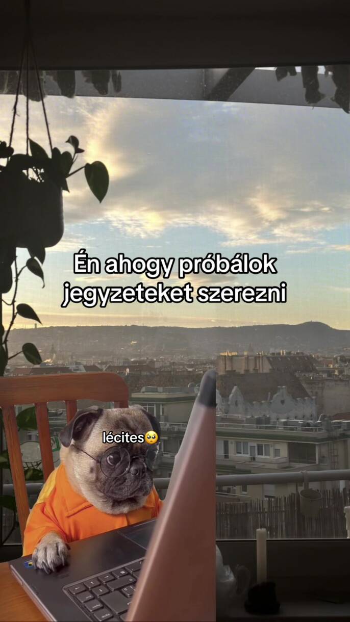 AHOGY PRÓBÁLOK JEGYZETEKET SZEREZNI