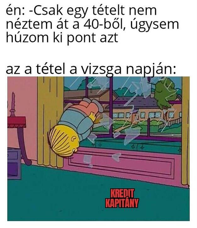 AZ A BIZONYOS EGY TÉTEL