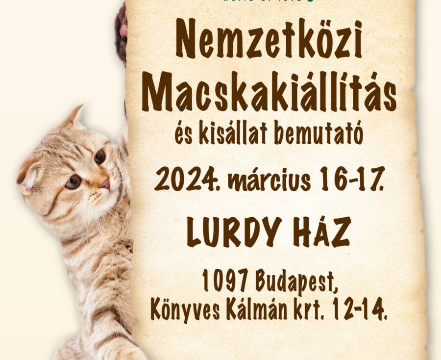 NEMZETKÖZI MACSKAKIÁLLÍTÁS