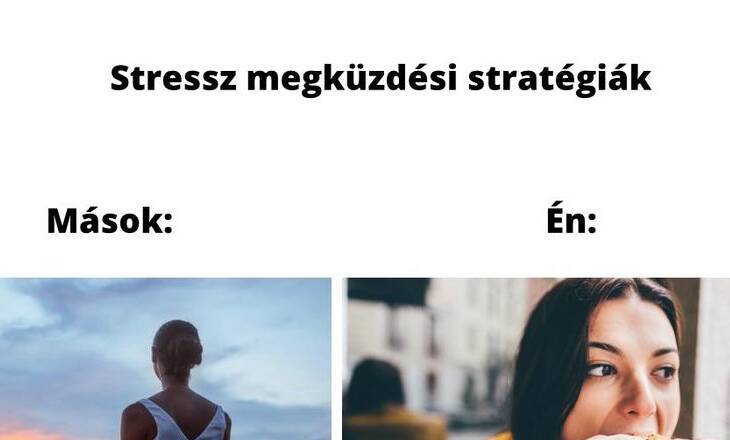 STRESSZ MEGKÜZDÉSI STRATÉGIÁK