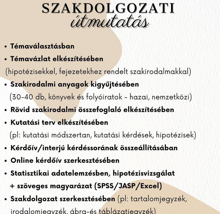 SZAKDOLGOZATI ÚTMUTATÁS