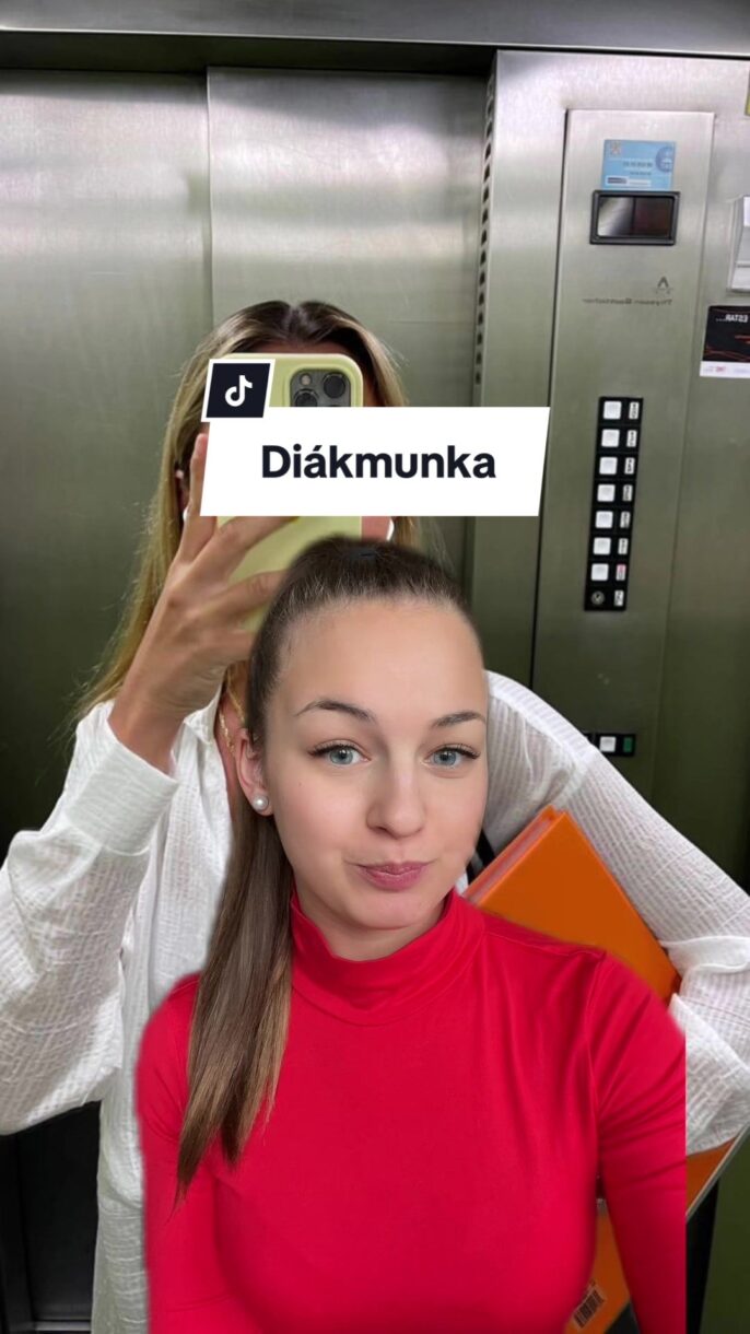 ALKALMI VAGY ÁLLANDÓ DIÁKMUNKA?