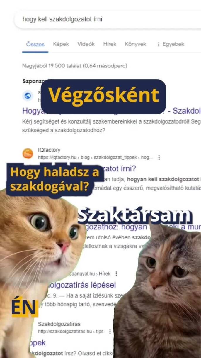 VÉGZŐSKÉNT