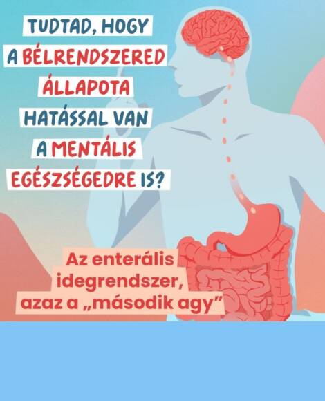 A BÉLRENDSZER ÁLLAPOTA HATÁSSAL LEHET A MENTÁLIS EGÉSZSÉGRE