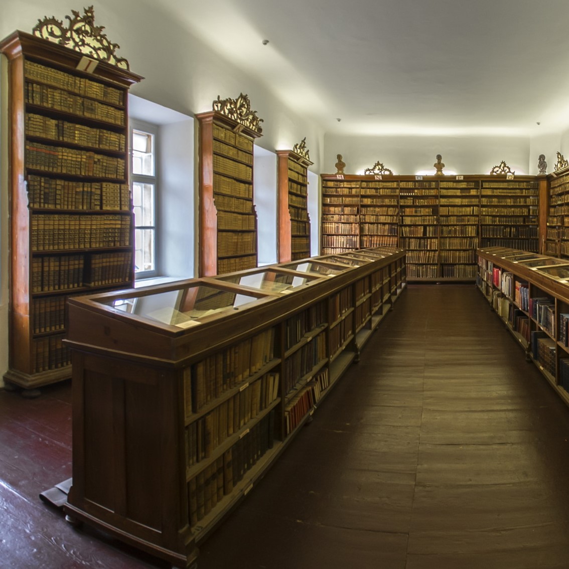 Visit to Klimo Library, guided tour in English fotó