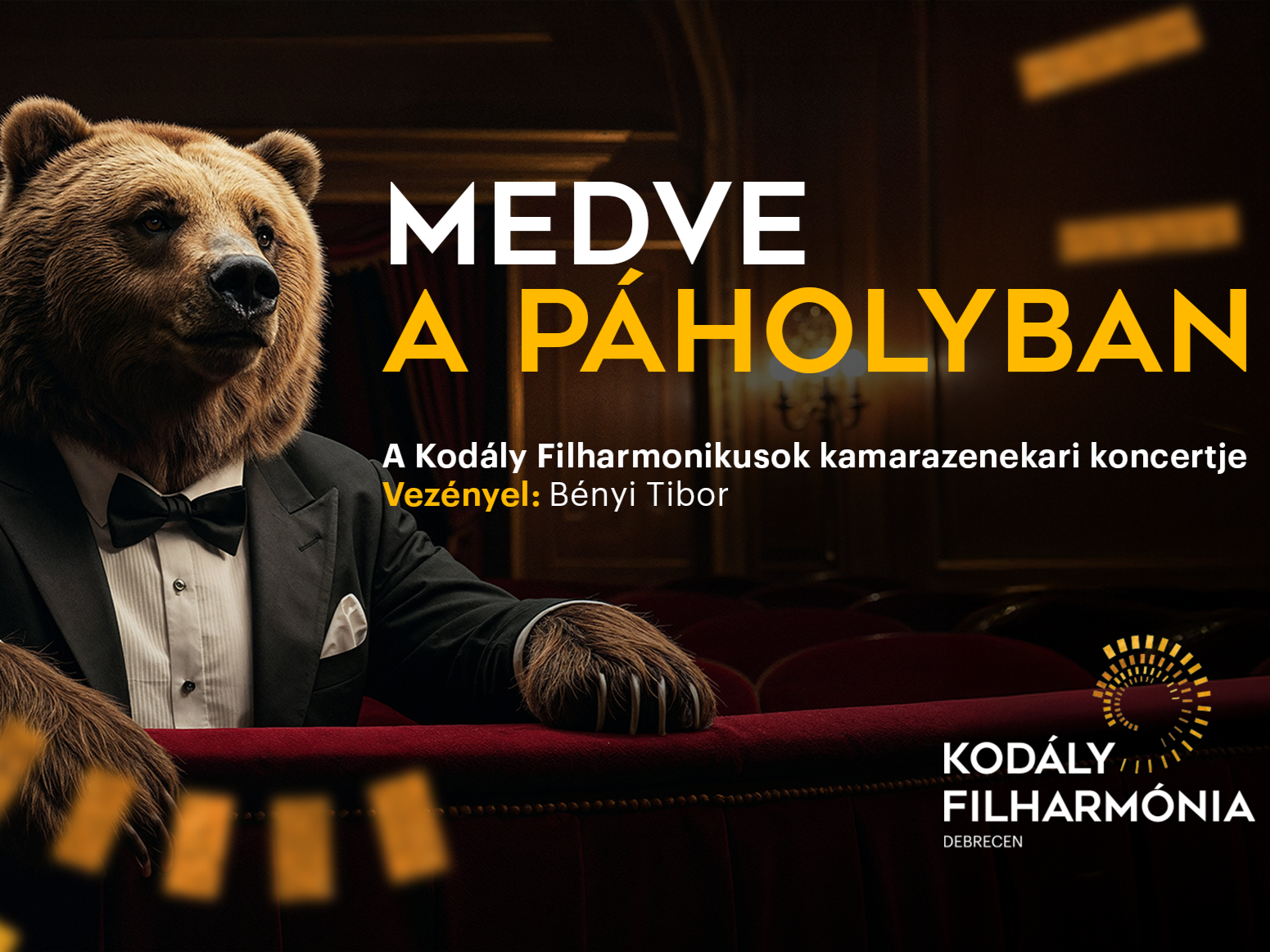 Medve a páholyban fotó