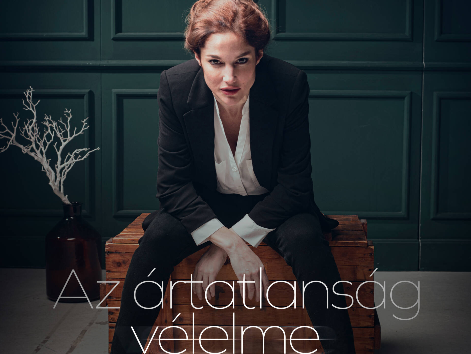 Prima Facie (Az ártatlanság vélelme) fotó