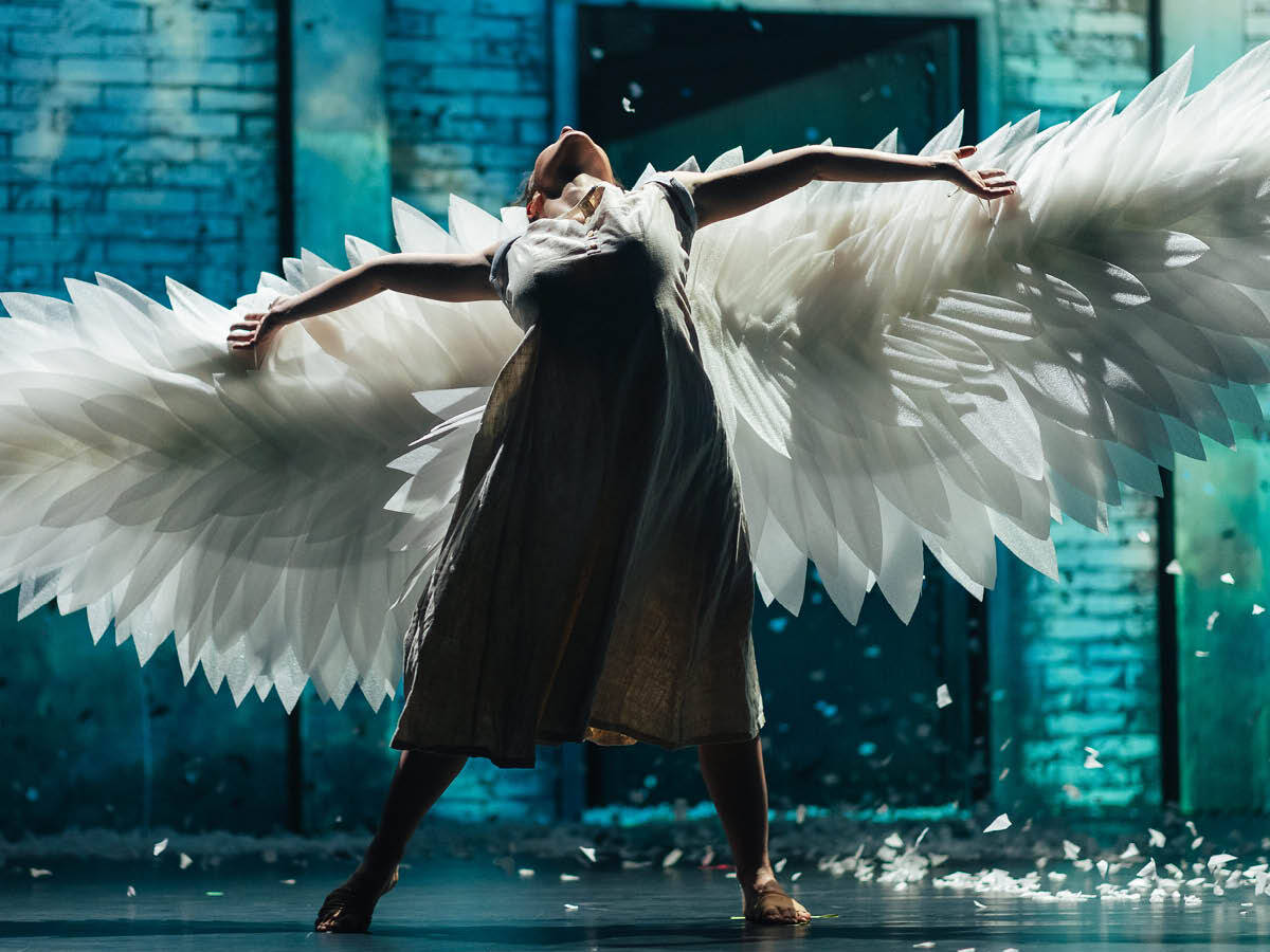 Fekete hattyú – balett-thriller – Szegedi Kortárs Balett fotó