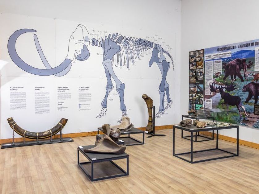 JPM Természettudományi Múzeum megtekintése JPM Természettudományi Múzeum megtekintése fotó