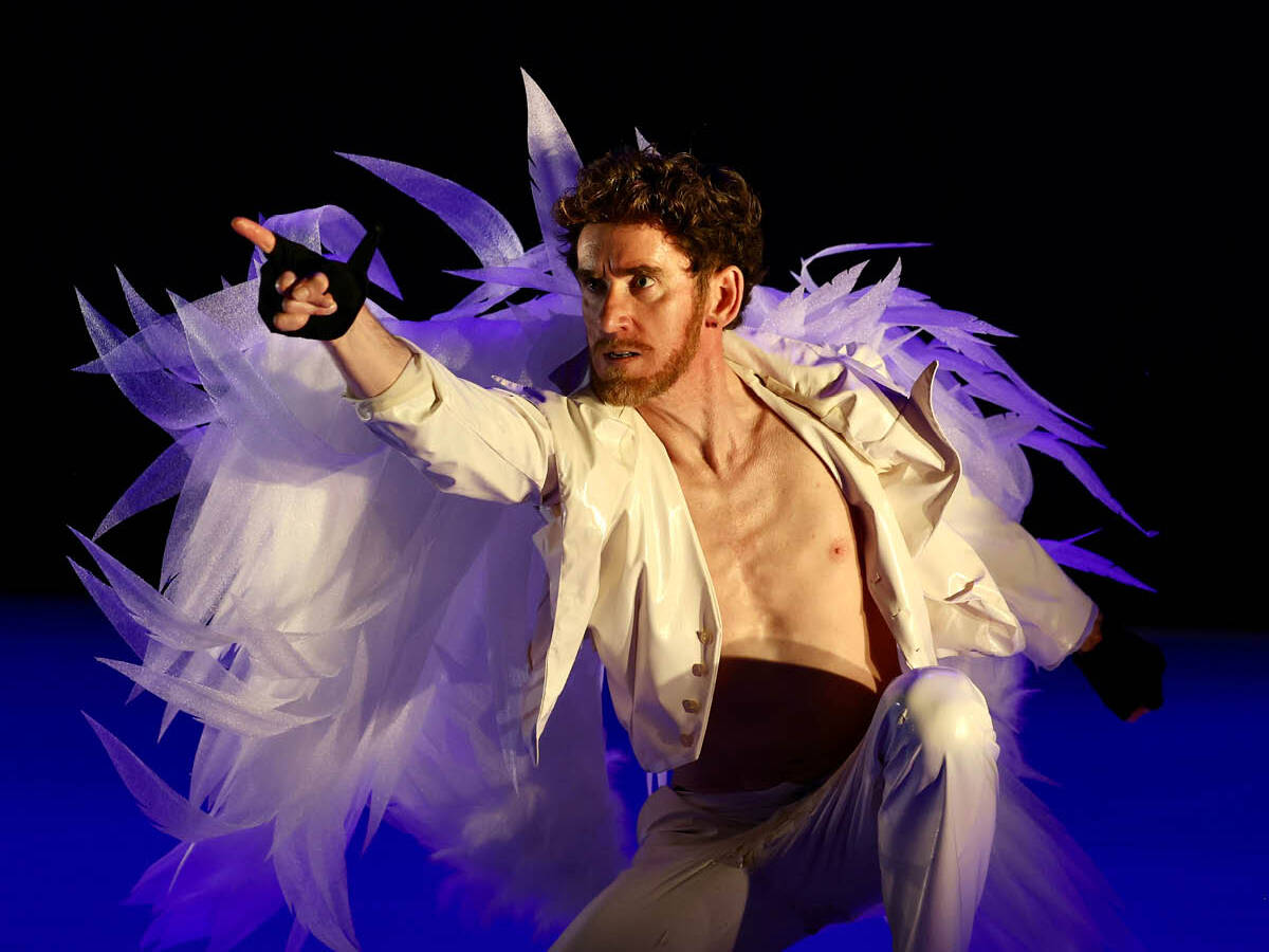 Lutte of Birds-A madarak küzdelme-FrenÁk Társulat Lutte of Birds-A madarak küzdelme-FrenÁk Társulat fotó