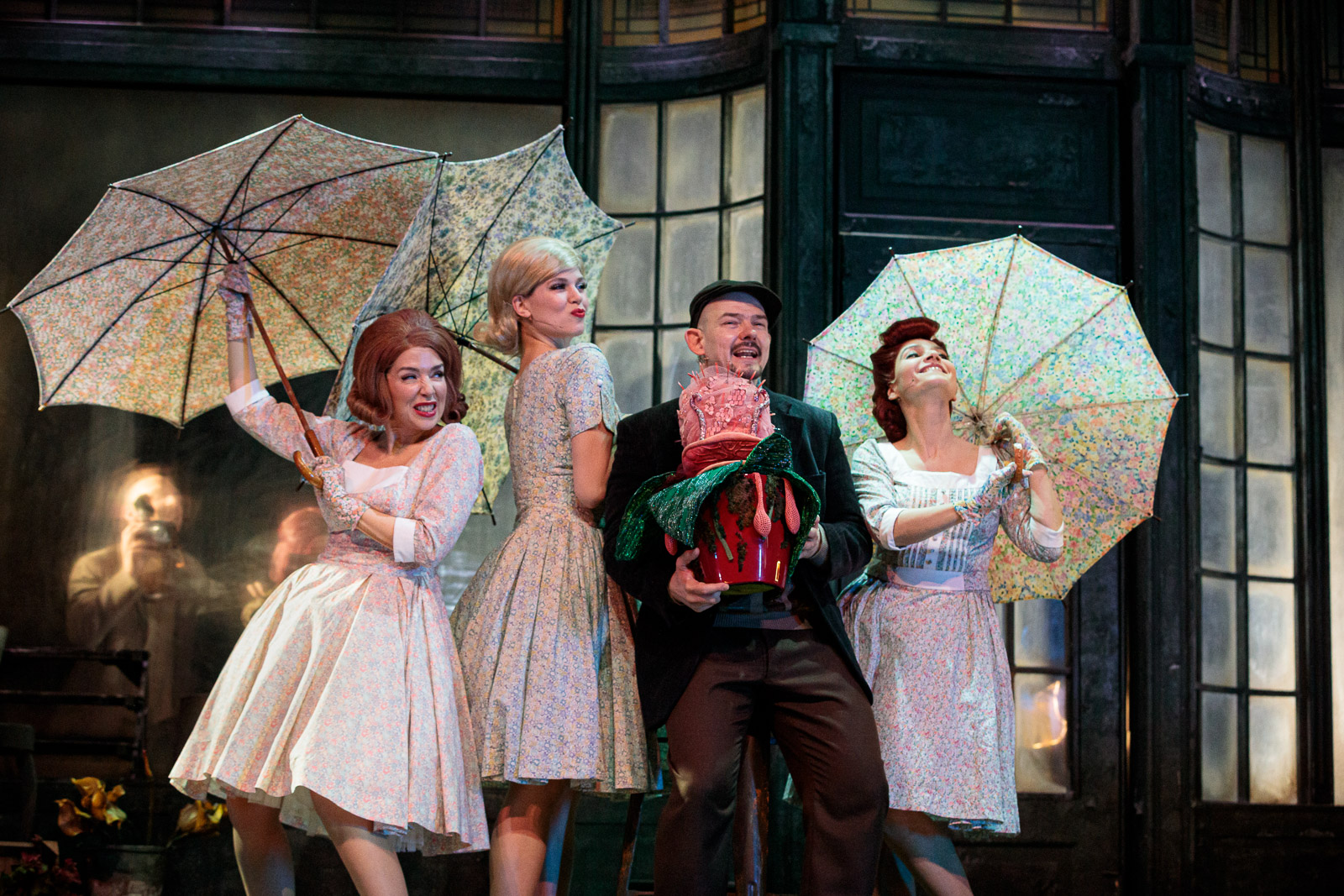 Rémségek kicsiny boltja fotó