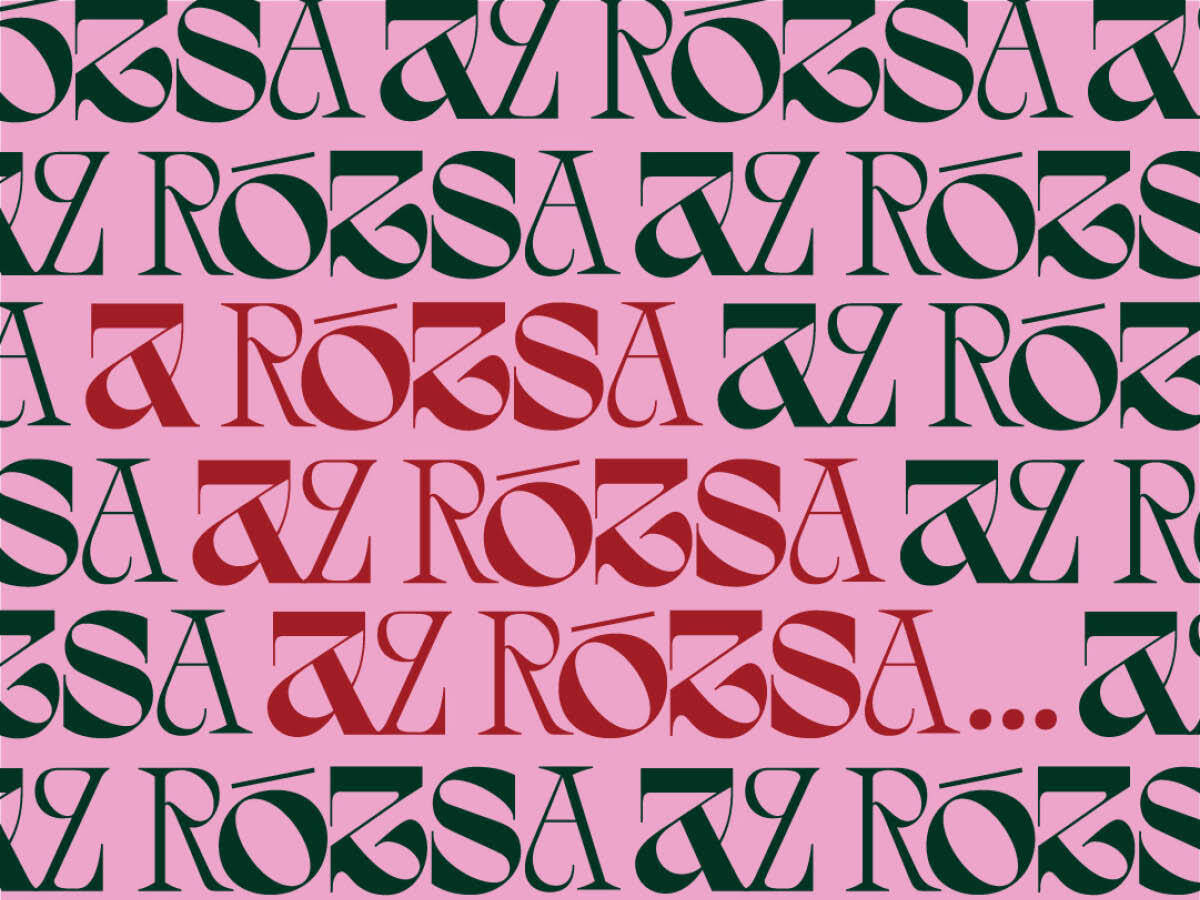 A rózsa az rózsa az rózsa…-Kovács Gerzson Péter – TranzDanz fotó