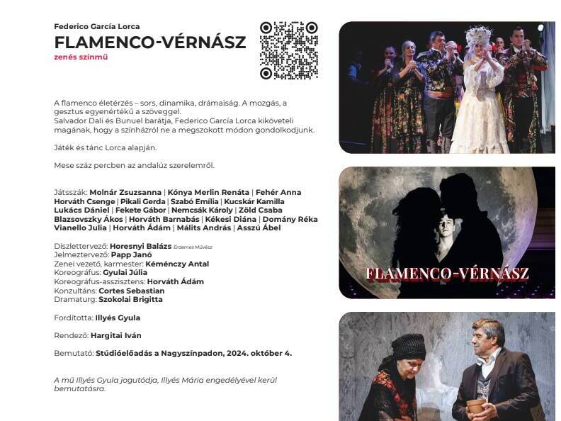 Flamenco – Vérnász Flamenco – Vérnász fotó